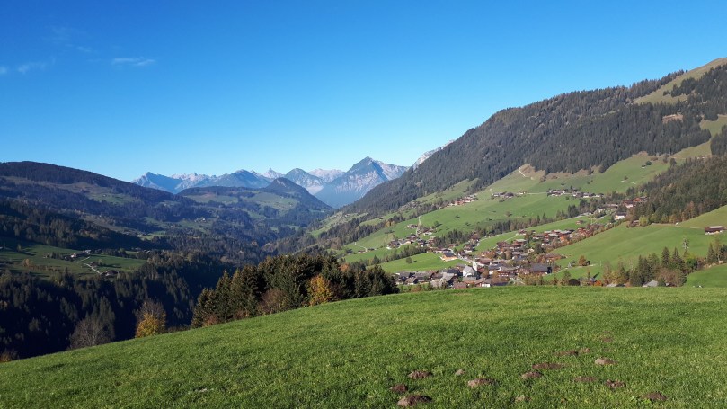 Gerhardsberge (9)