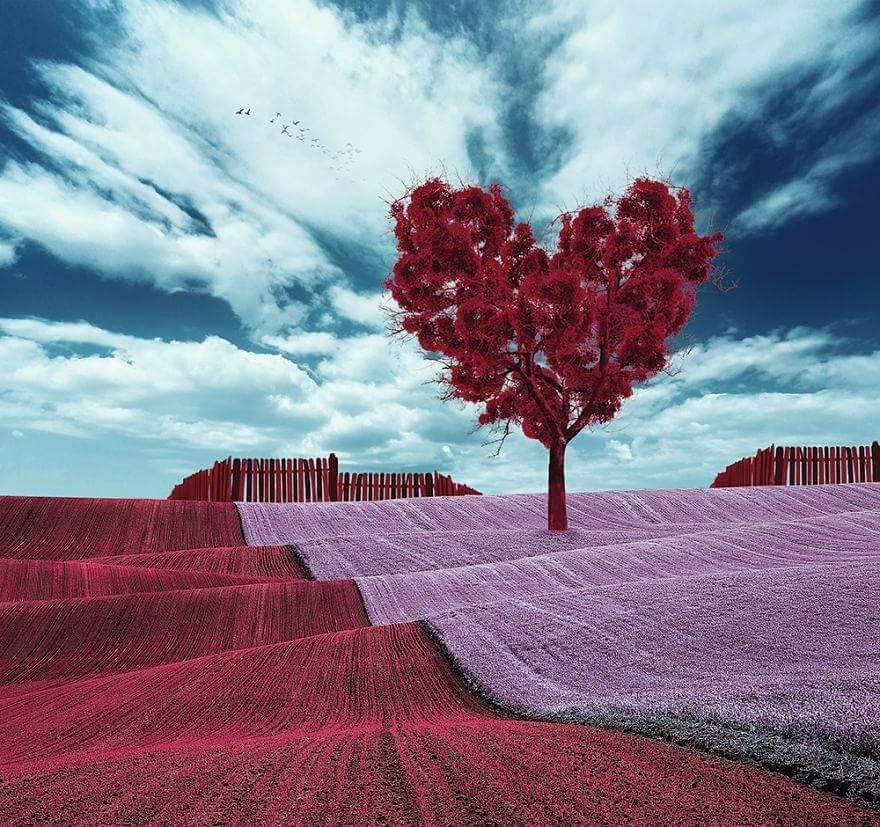 FB_IMG_1574613854387